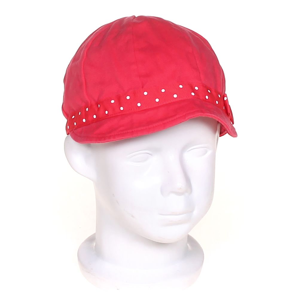 The World of Roald Dahl